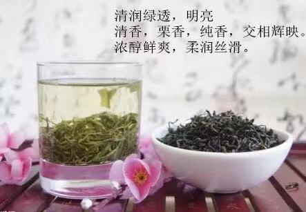 雨前女兒綠茶300g